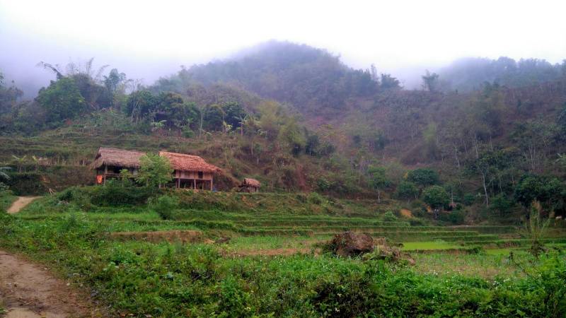 Top 12 Homestay Pù Luông – Thanh Hóa giá rẻ view đẹp ngắm đồng lúa 