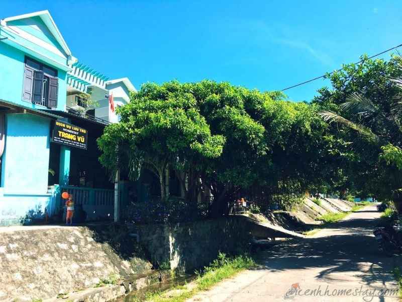 Top 14 nhà nghỉ khách sạn homestay Cù Lao Chàm giá rẻ view đẹp nhất 